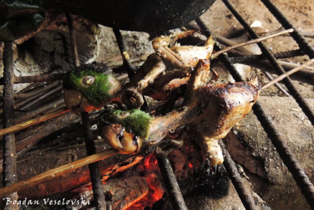 Barbecued parrots