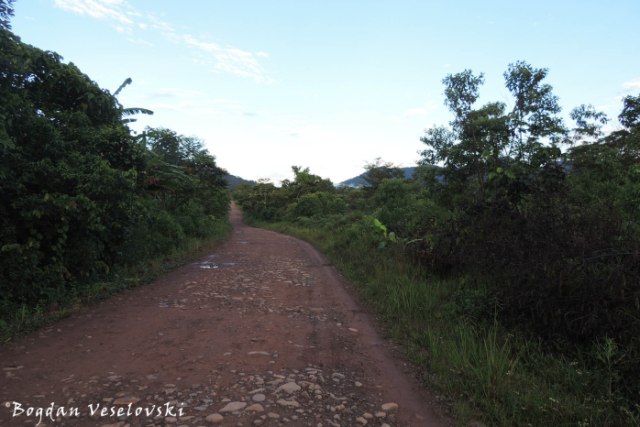 Macuma-Taisha road